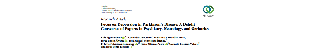 Focus on Depression in Parkinson’s Disease: A Delphi Consensus of Experts in Psychiatry, Neurology, and Geriatrics