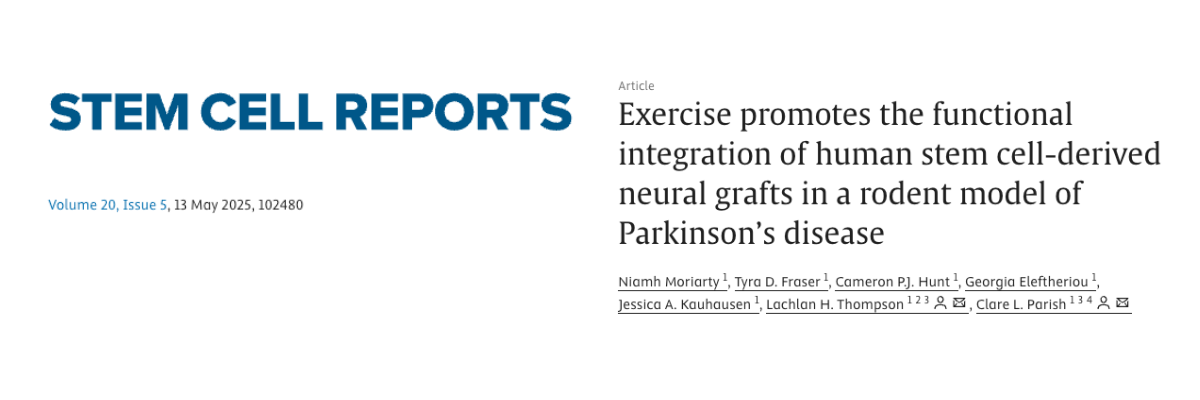 Exercise promotes the functional integration of human stem cell-derived neural grafts in a rodent model of Parkinson’s disease