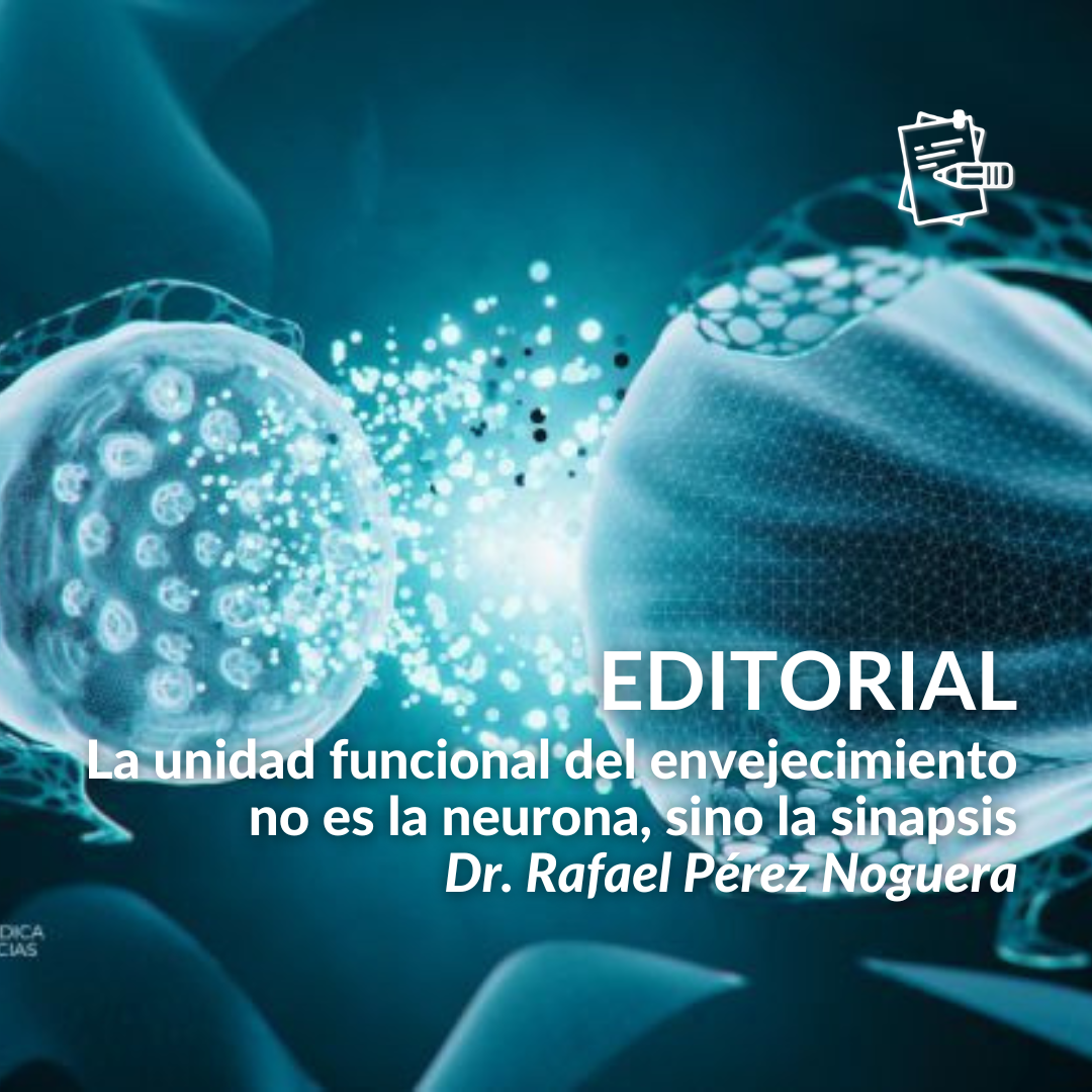 Novedades Neuroexeltis (1)
