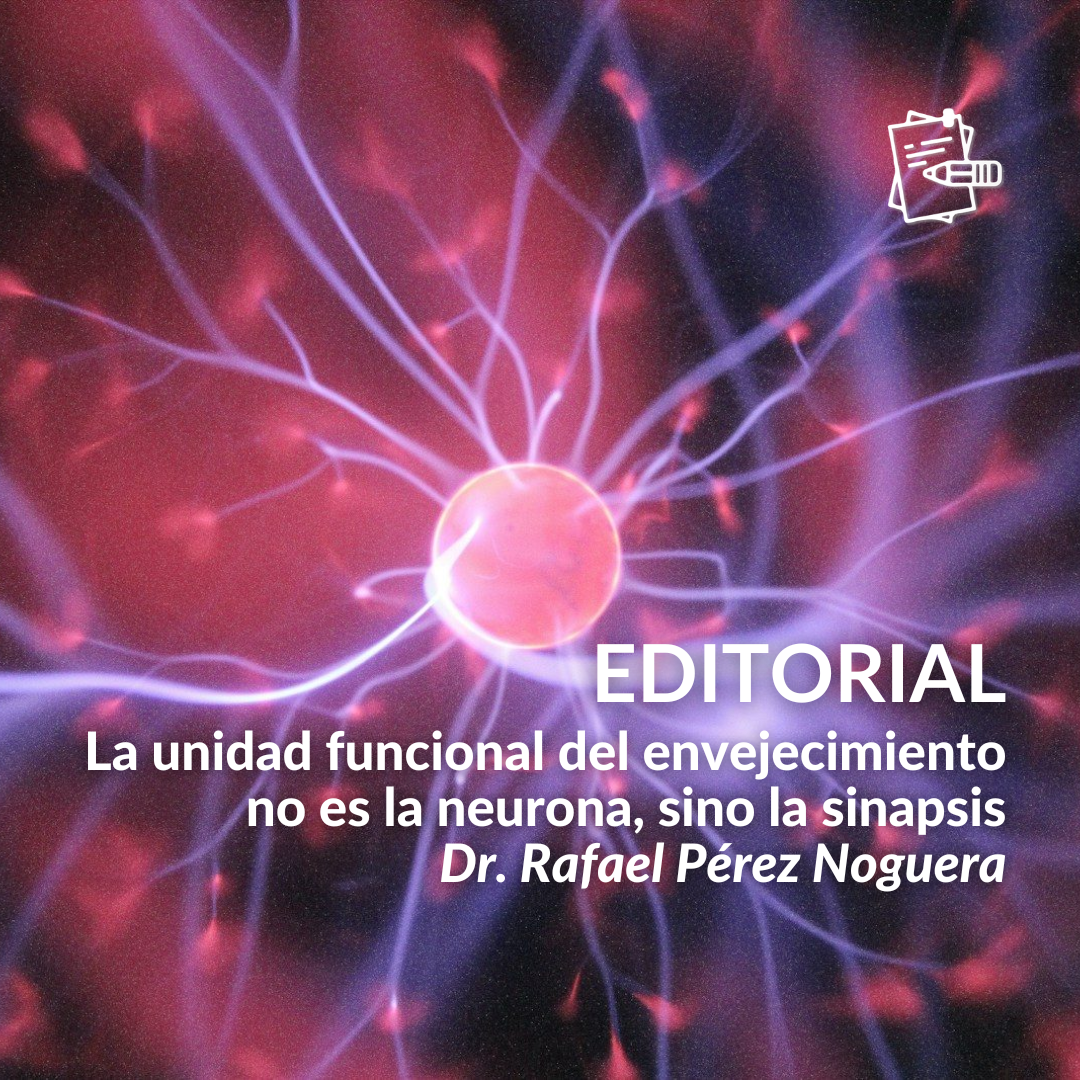 Novedades Neuroexeltis