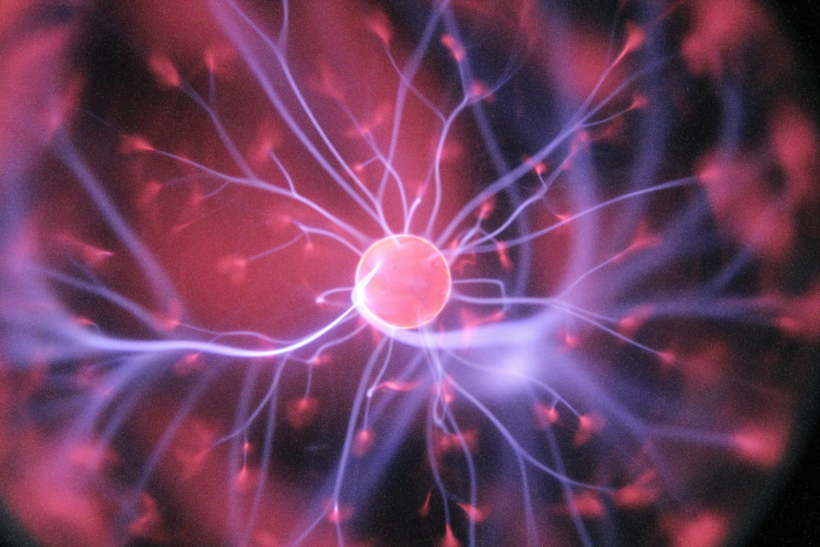 Photo by Hal Gatewood purple and pink plasma ball